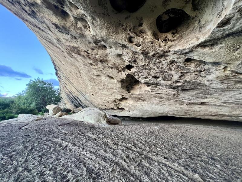 0 Bedroom Property for Sale in Fouriesburg Free State